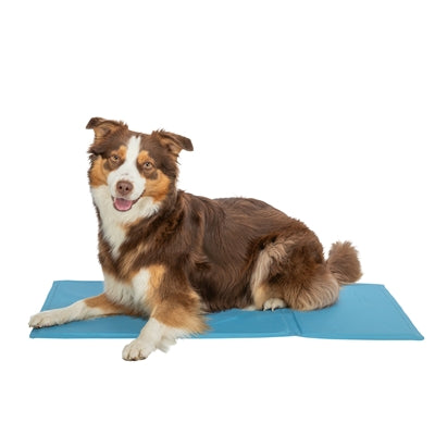 Trixie Cooling Mat With Palm Leaves Print Light Blue