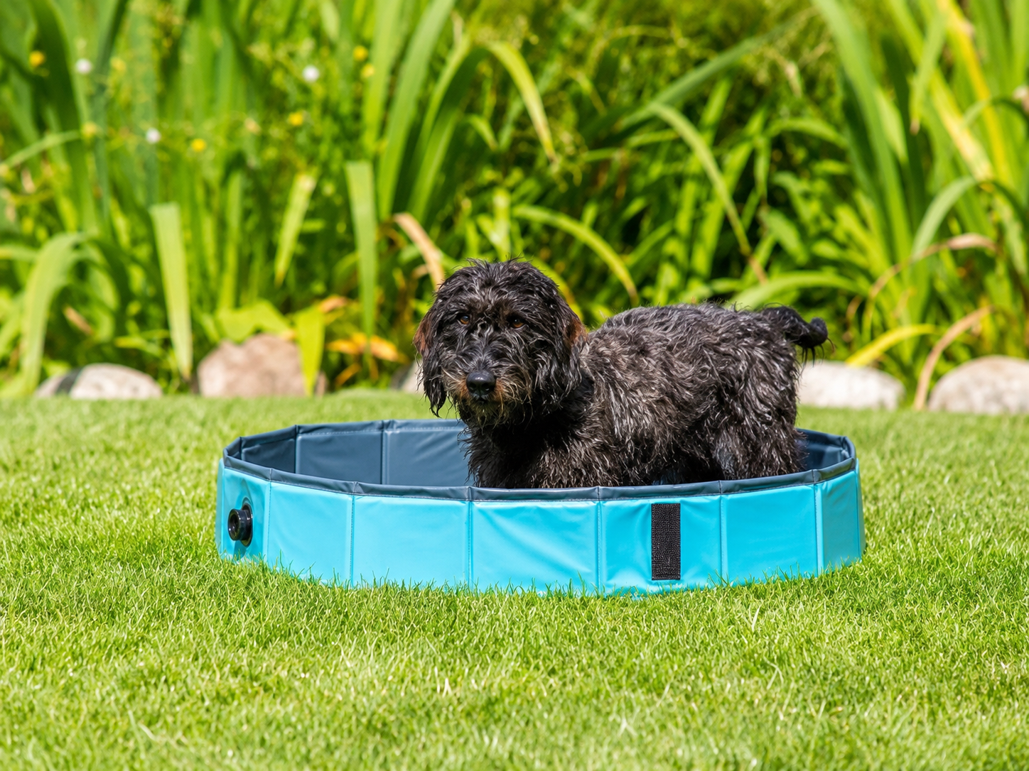 Trixie Dog Pool Light Blue / Blue