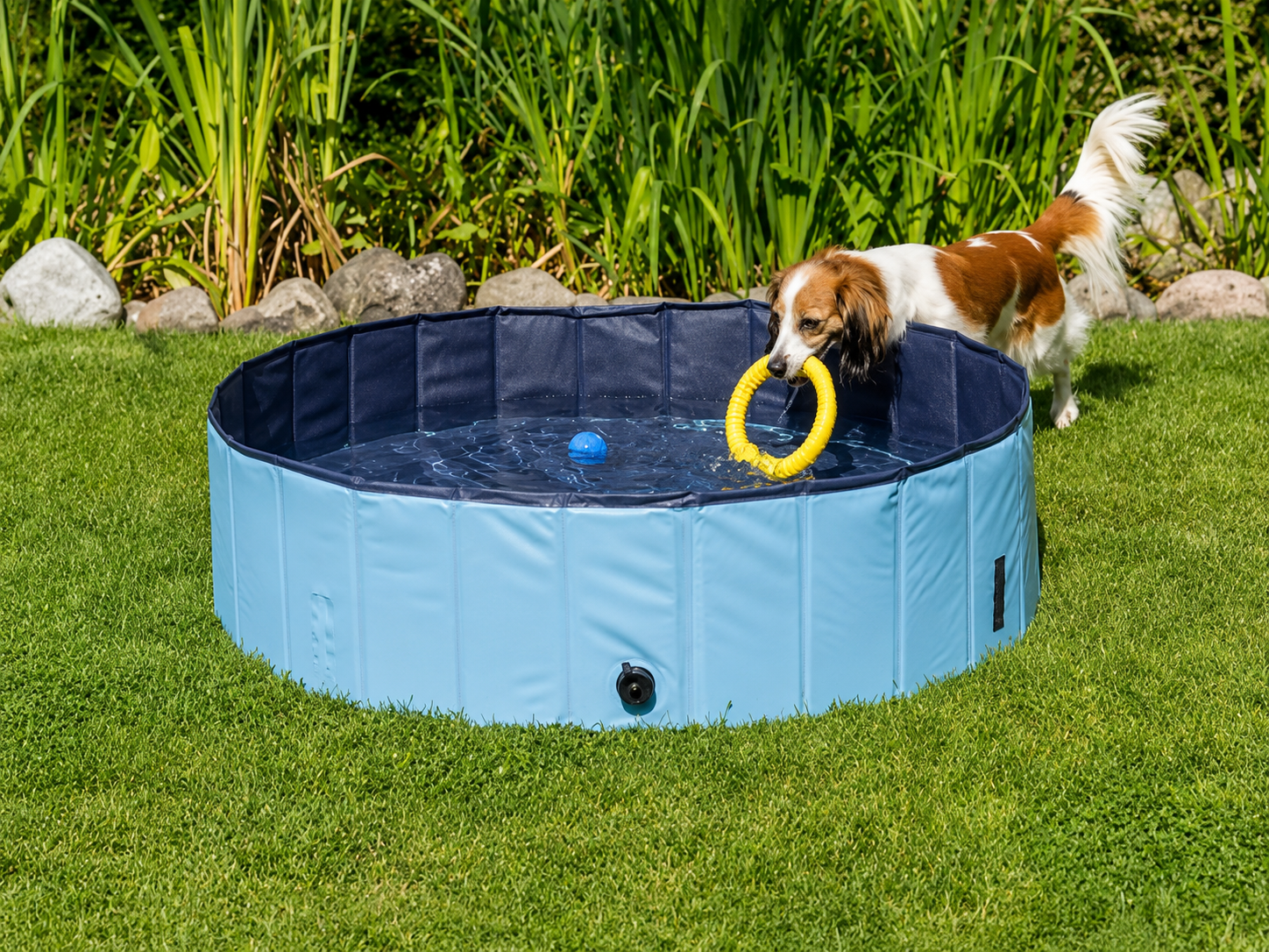 Trixie Dog Pool Light Blue / Blue