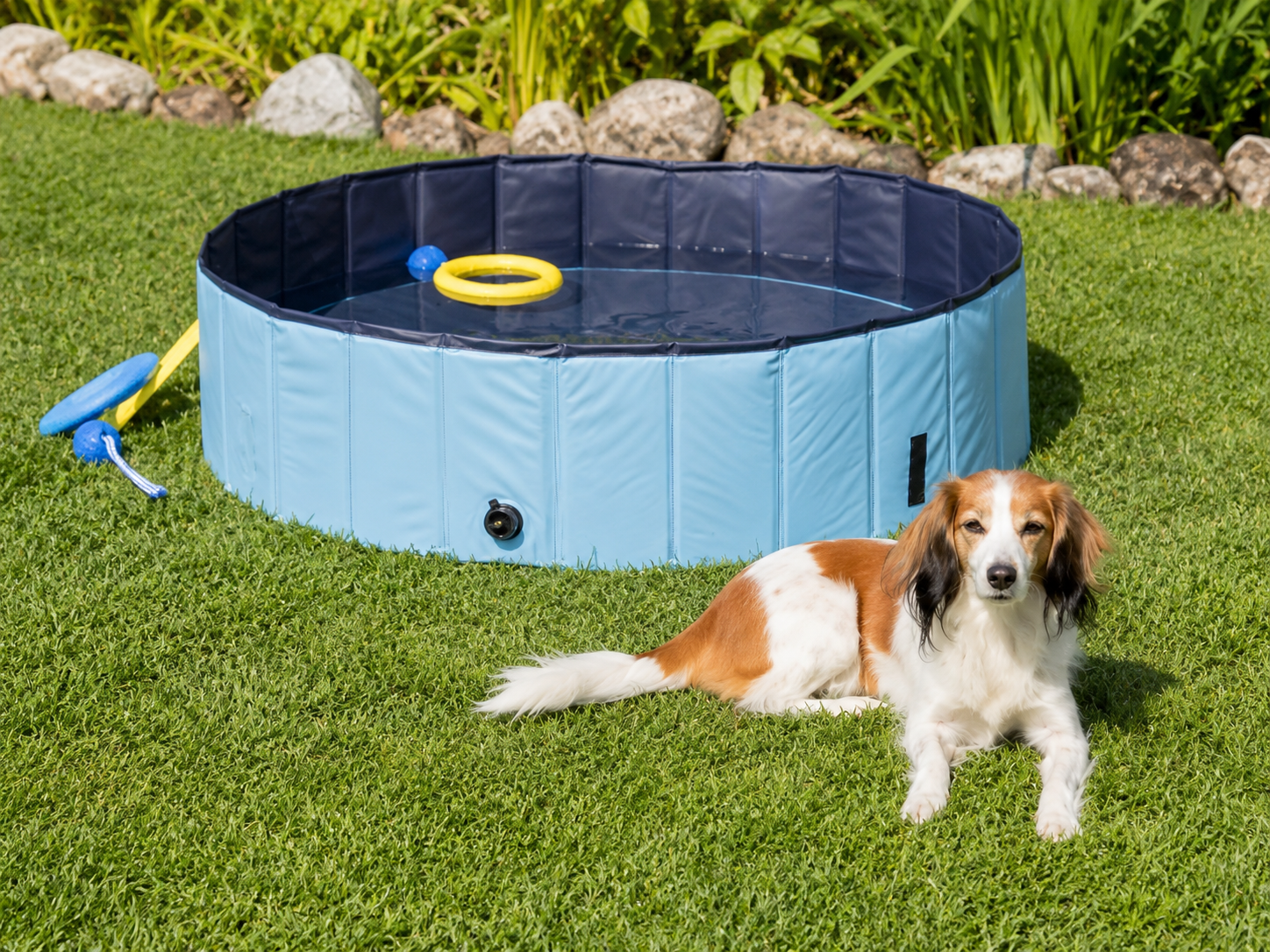 Trixie Dog Pool Light Blue / Blue